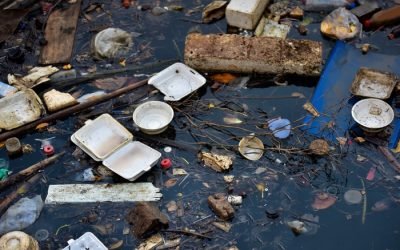 21 Februari, Peringatan Hari Peduli Sampah Nasional (HPSN)