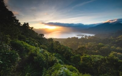 Peringatan Hari Bakti Rimbawan (16 Maret), Kobarkan Semangat Lestarikan Hutan dan Peduli Lingkungan