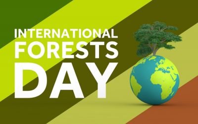 21 Maret 2022, Selamat Hari Hutan Internasional!