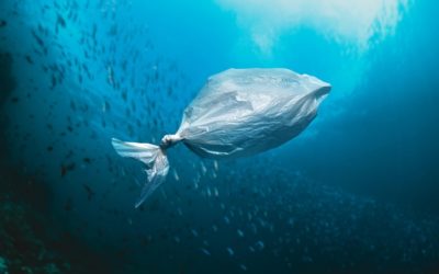 Dampak Sampah Plastik Bagi Lingkungan Hidup